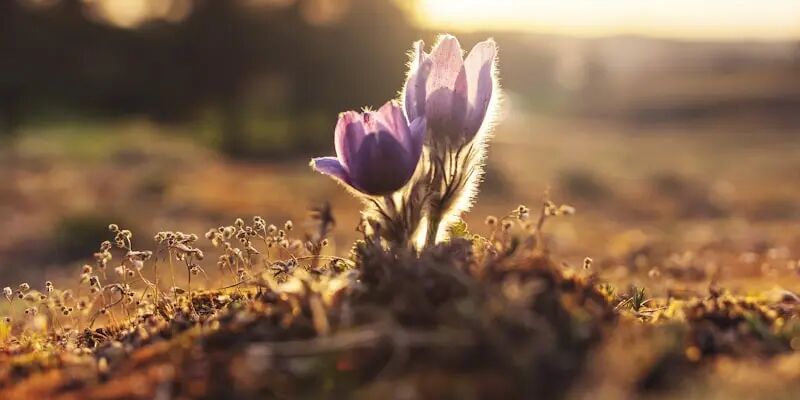 又一平台倒了,终究还是败给了流量 9 又一平台倒了,终究还是败给了流量