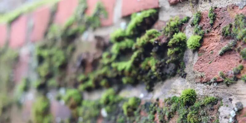 一天一家跨境电商公司：宝视佳