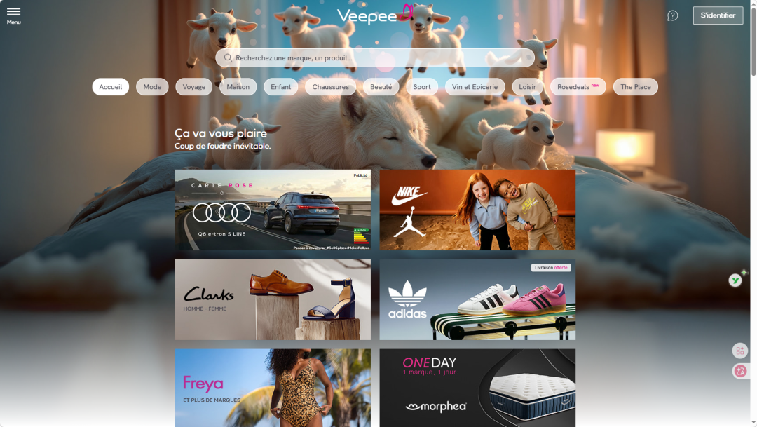 一天一家跨境电商欧洲版图：法国