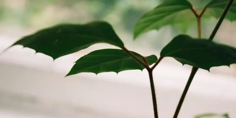 一天一家跨境电商公司:泽汇科技 6 一天一家跨境电商公司:泽汇科技