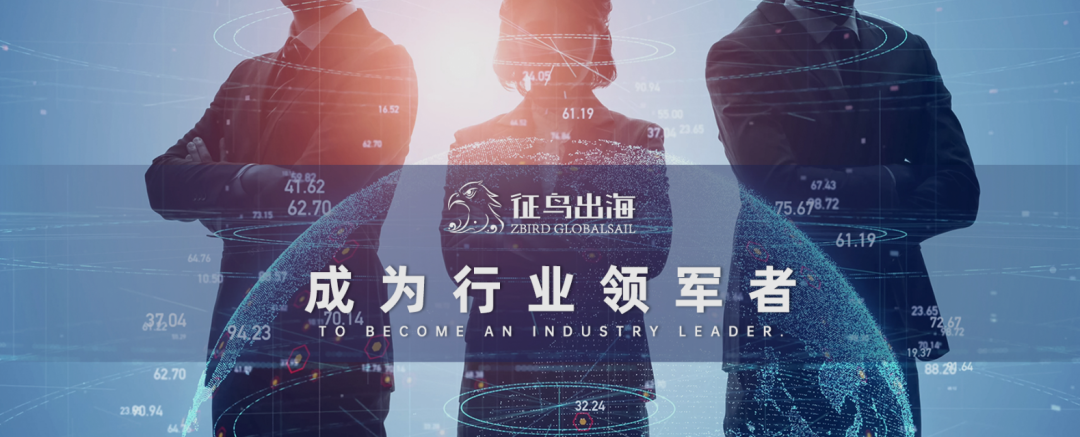 一天一家跨境电商公司:征鸟出海