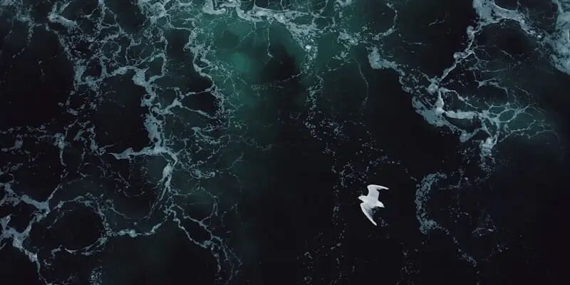 一天一家跨境电商公司：品牌厨电大卖虎一科技