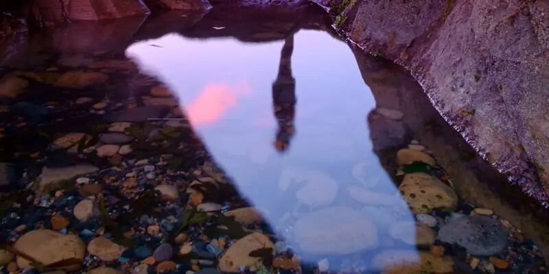 一天一家跨境电商公司：泽宝创新