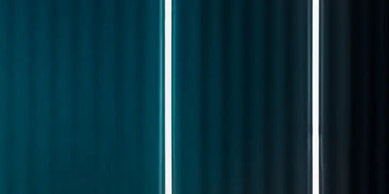 一天一家跨境电商平台：Cdiscount