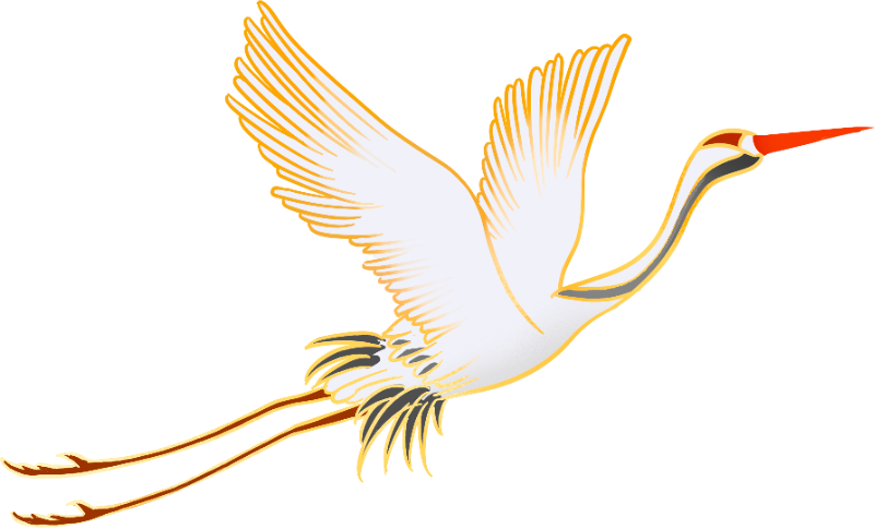 2026年 Shopify 百万美金品牌都在用什么? 12 2026年 Shopify 百万美金品牌都在用什么?