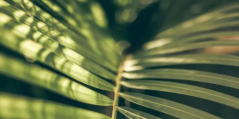 杭州跨境TOP30背后,藏着三套截然不同的出海剧本 9 杭州跨境TOP30背后,藏着三套截然不同的出海剧本