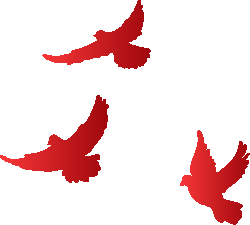 邀请函 | 锦品出海邀您共赴第六届中国跨交会