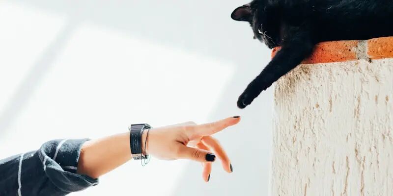 一天一家跨境电商欧洲版图:西班牙 21 一天一家跨境电商欧洲版图:西班牙