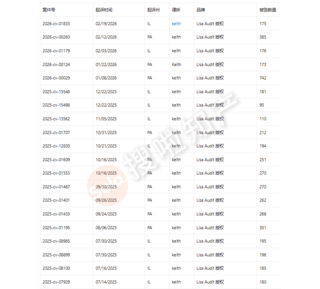 跨境避险=长期盈利 ｜Lisa Audit版权自查清单（2:26-cv-00029）