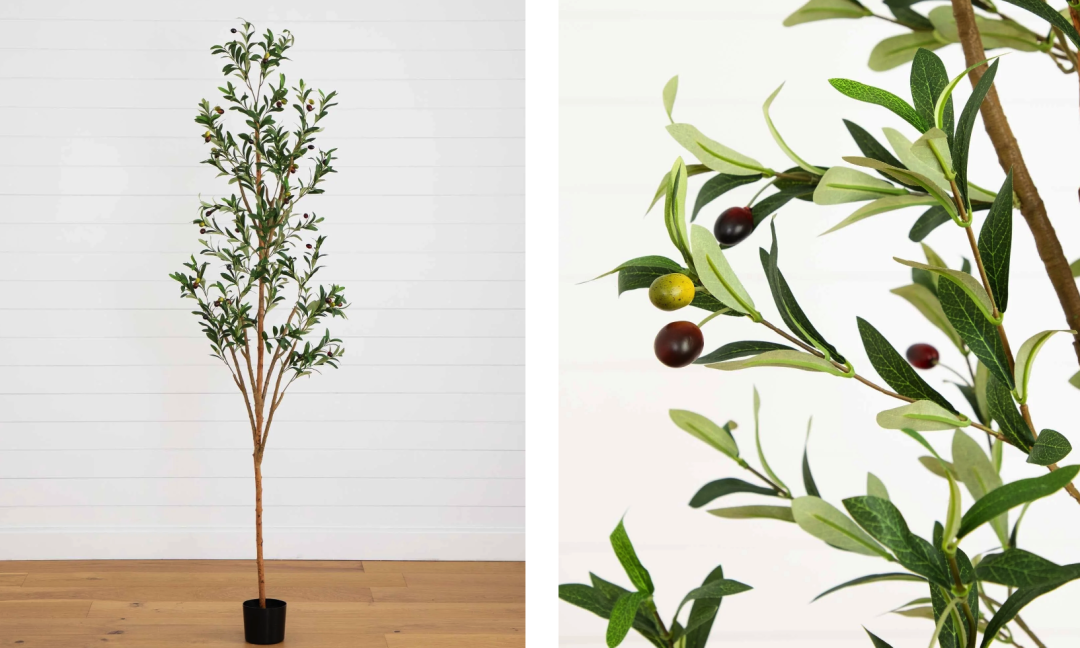 狂卖$28万+，这个DTC品牌靠“养不死”的绿植打爆欧美市场