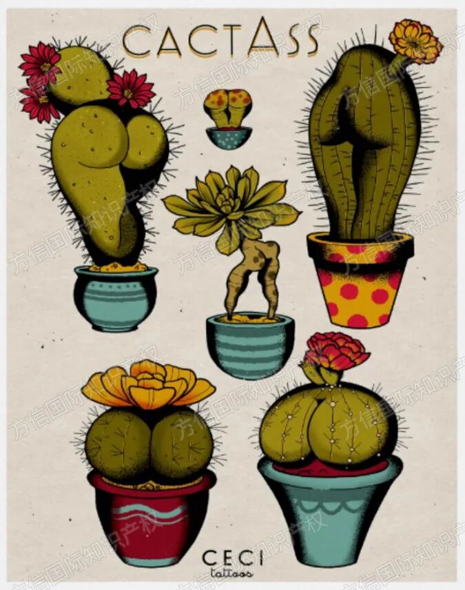 2026-cv-02297，你的店铺安全吗？性感植物版权跨境TRO!