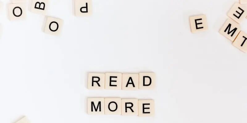 一天一家跨境电商公司：征鸟出海