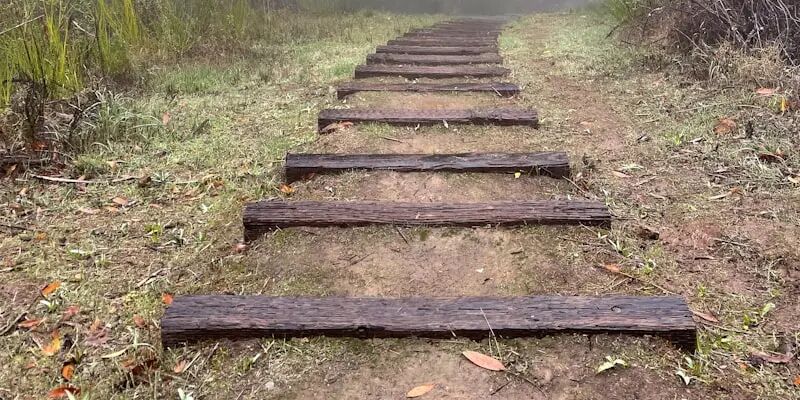 一天一家跨境电商公司：环金科技