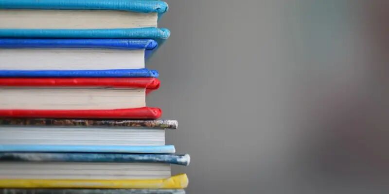 一天一家跨境电商公司：海狮集团