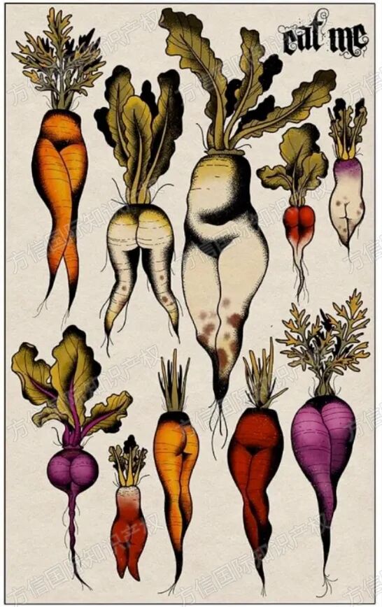 2026-cv-02297，你的店铺安全吗？性感植物版权跨境TRO!