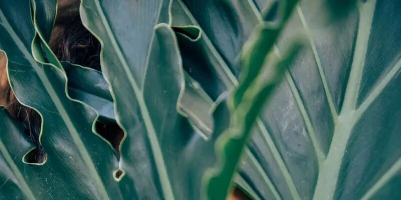 一天一家跨境电商欧洲版图:西班牙 18 一天一家跨境电商欧洲版图:西班牙