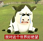 地狱开局！运价刚涨完，301调查又来了！