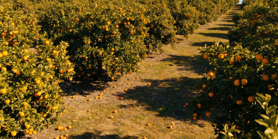 跨境电商人物志:通拓创始人廖新辉 11 跨境电商人物志:通拓创始人廖新辉