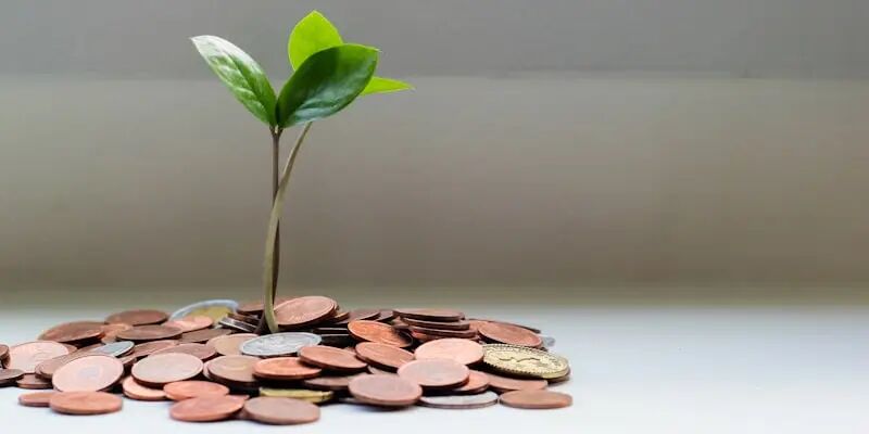 一天一家跨境电商品牌：EcoFlow 正浩