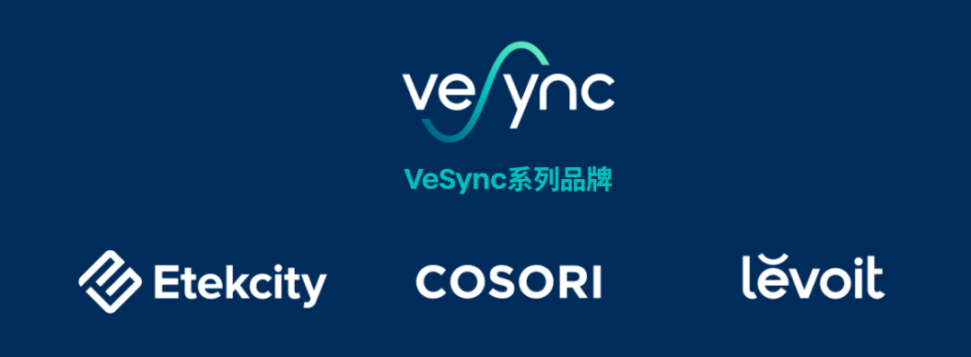 一天一家跨境电商公司：小家电VC头部晨北科技