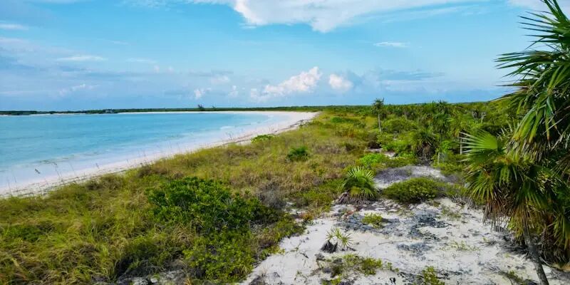 一天一家跨境电商平台：起量超快的南非平台Takealot