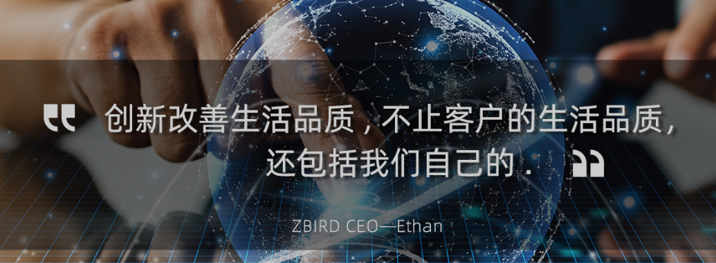 一天一家跨境电商公司：征鸟出海