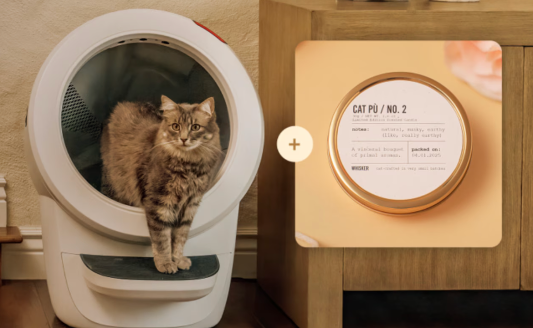 $464的可穿戴床垫爆卖售罄，恶作剧选品越荒谬越赚钱？