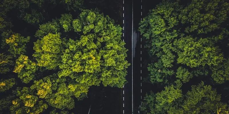 2026年做亚马逊，有三件事正在悄悄决定你的命运