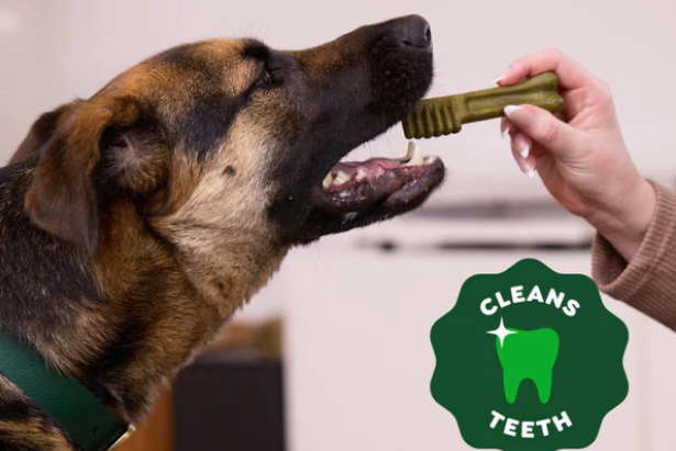 一块狗饼干年卖70亿,这个赛道在欧洲正在爆发 10 一块狗饼干年卖70亿,这个赛道在欧洲正在爆发