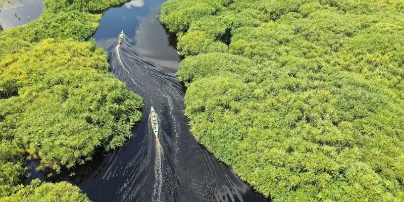 一天一家跨境电商公司：海狮集团
