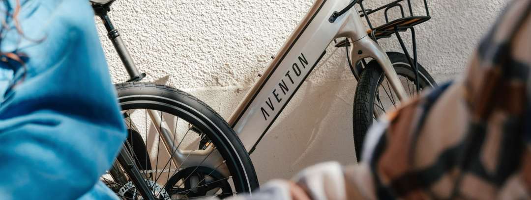 海外红人营销|年入20亿！浙江小伙靠“自行车”拿下北美第一！