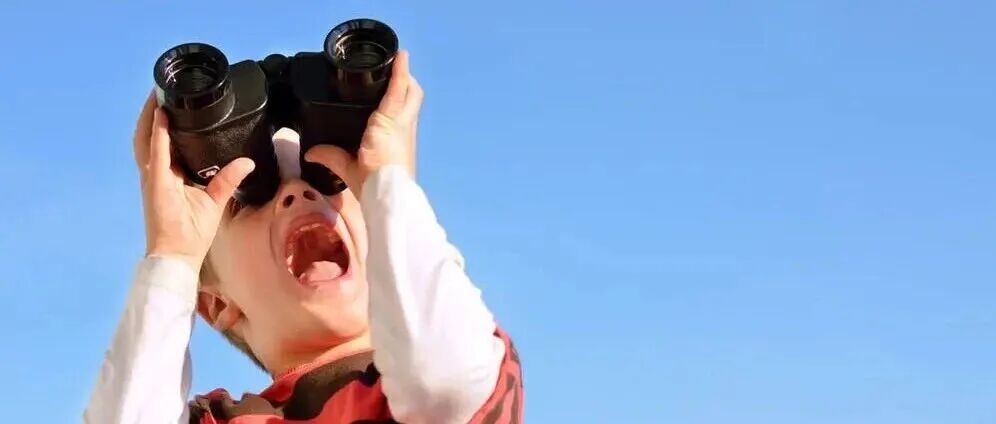 一天一家跨境电商公司：泽宝创新