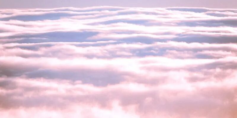 一天一家跨境电商欧洲版图：法国