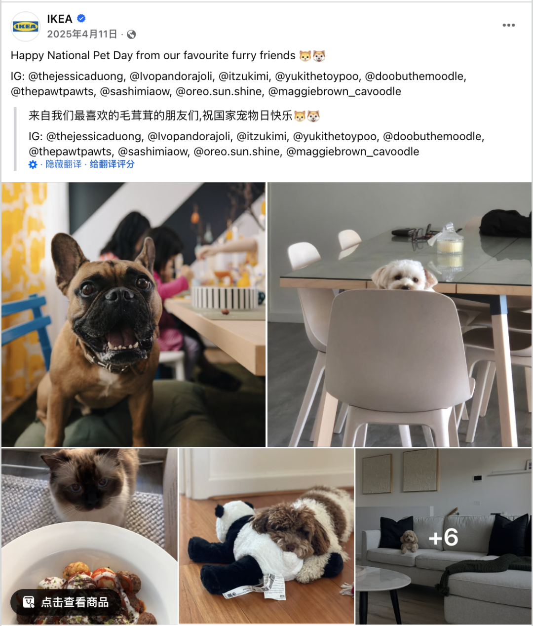 4月海外营销日历：复活节，世界创意和创新日，全国宠物日，世界地球日，联合国中文日...