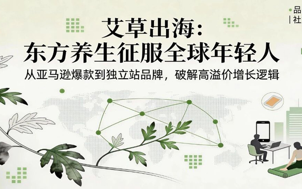东方艾草火遍全球：独立站营销破局攻略