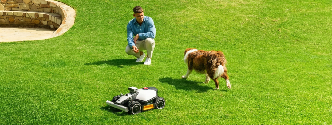 海外红人营销|大疆前高管出海卖“割草机器人”，做到全球第一！