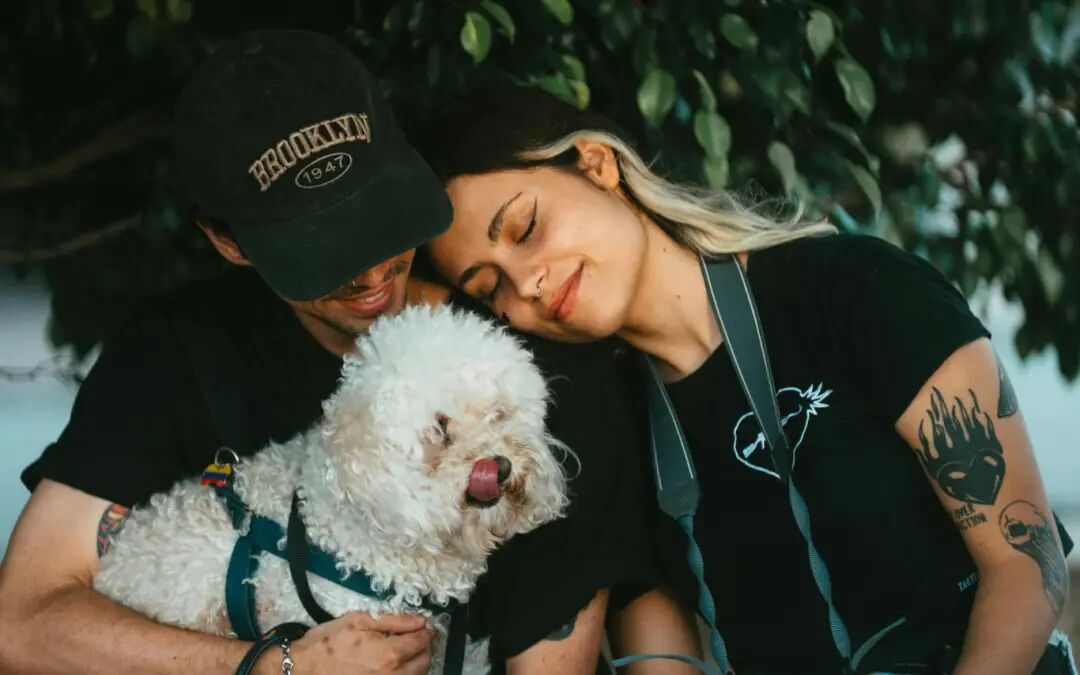 宠物x园艺 | 如何抓住拉美宠物后院新商机