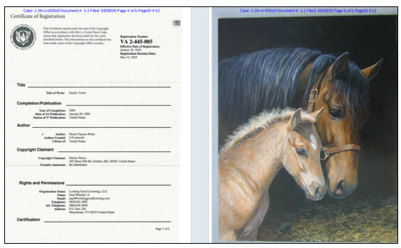 维权突袭！1000 + 店铺冻结，你的选品可能踩中这些版权商标的雷区