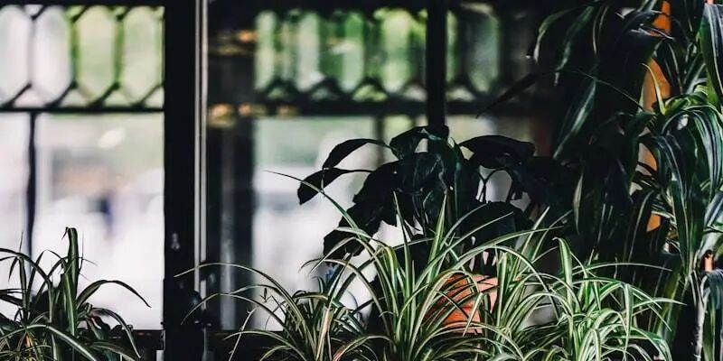 独立站的真相：你以为的"自由"，其实是另一种形式的"囚笼"