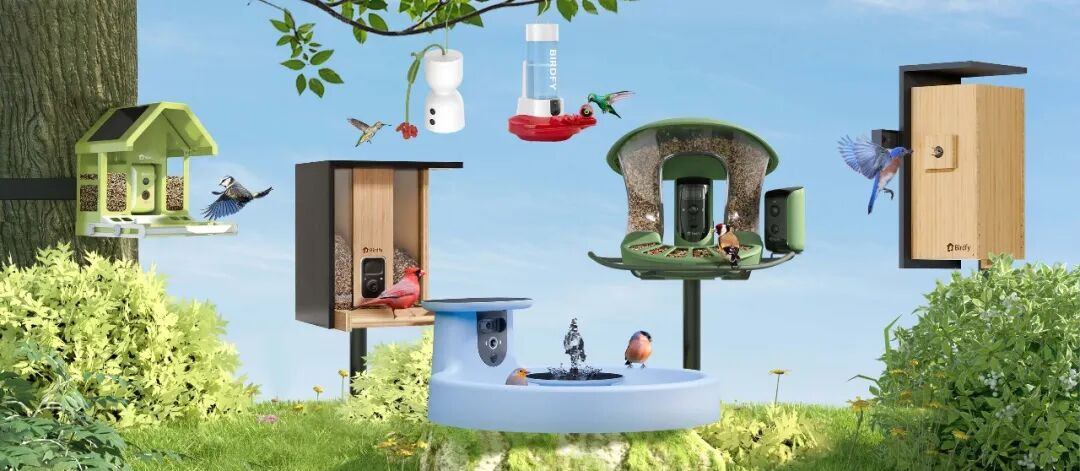 亚马逊月销百万美金，监控观鸟TOP1：把小众爱好做成大生意