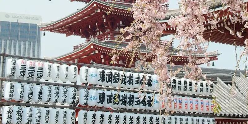 2026全球跨境电商平台全景手册