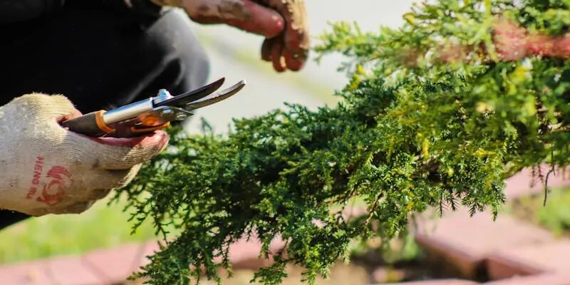 一天一国：2026年英国跨境电商好做吗？