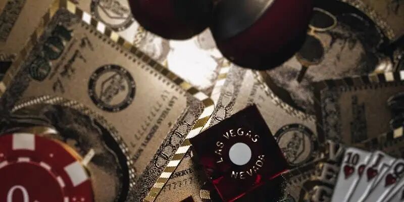 一天一家跨境电商公司：骑行设备头部洛克兄弟