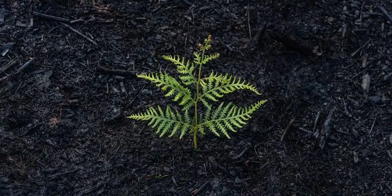 意大利VAT税号集体失效！欧洲卖家麻了