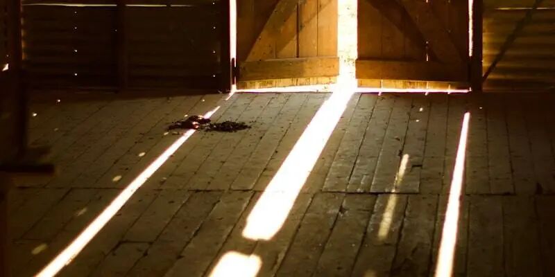 跨境小白必看！不踩镰刀、不走弯路，一篇读懂真相