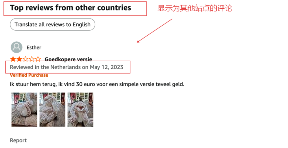 突发!亚马逊查看Review需排队五天,竞品调研彻底乱套! 10 突发!亚马逊查看Review需排队五天,竞品调研彻底乱套!