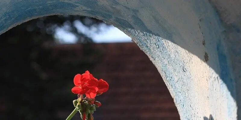 隐形大卖，把"精铺"做成了一门反常识的生意