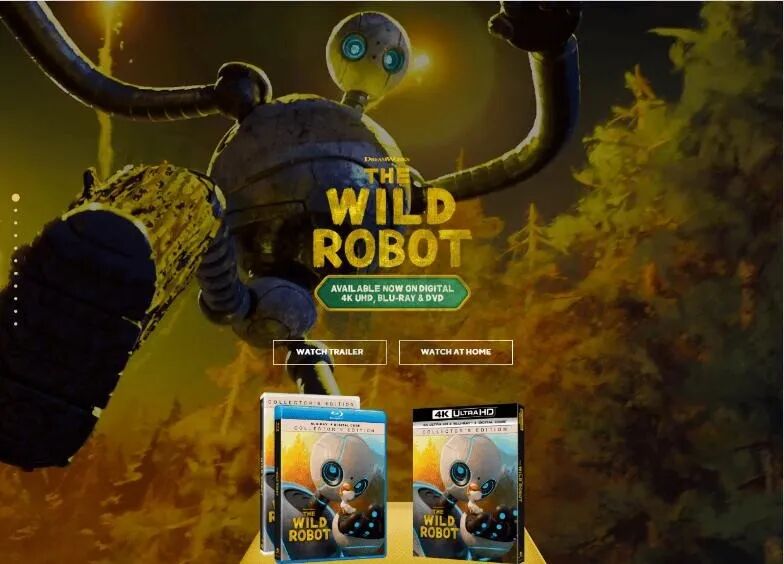 4 月跨境侵权预警:GBC 密集发案,商标 + 专利双杀,卖家速自查 4 4 月跨境侵权预警:GBC 密集发案,商标 + 专利双杀,卖家速自查