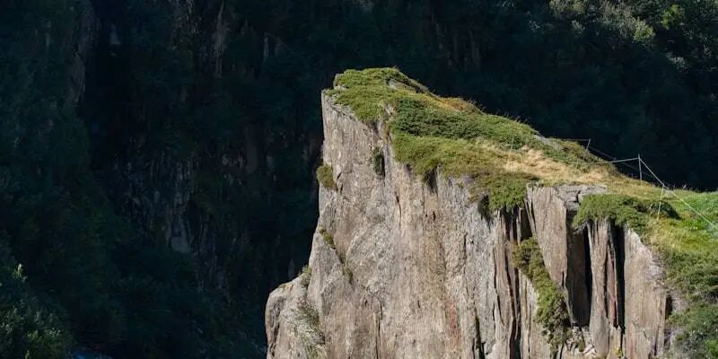 跨境大败局②:帕拓逊沉浮录 7 跨境大败局②:帕拓逊沉浮录