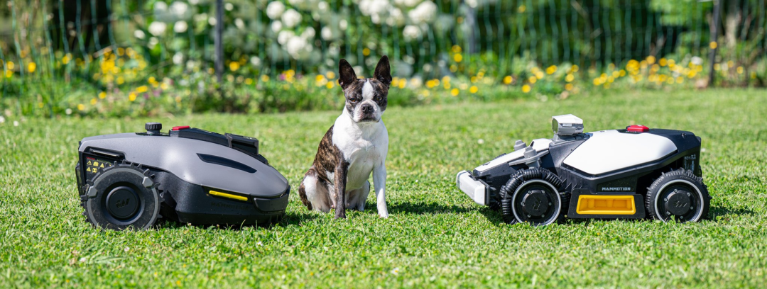 海外红人营销|大疆前高管出海卖“割草机器人”，做到全球第一！